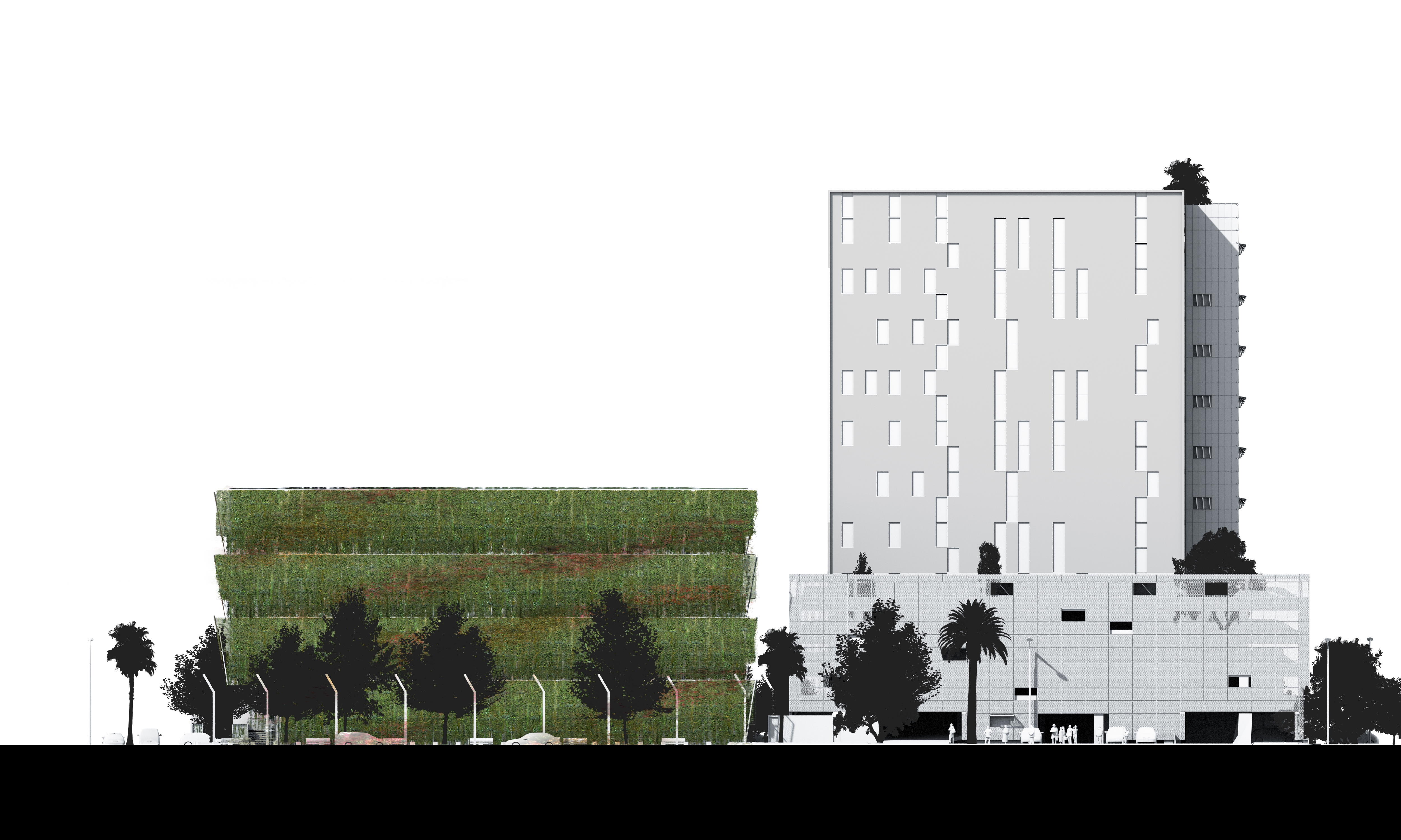 Parking Skin & Interstitial Garden